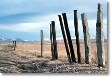 15947_snow_fence_near_ulukisla_22_march_76.jpg