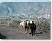 15998_local_with_horse_near_palu_24_march_76.jpg